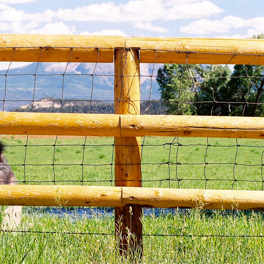 Horse Fencing – 4 Corners Fencing